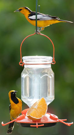 ORIOLE FEEDER 22 OZ TOP FILL W/5 PORTS