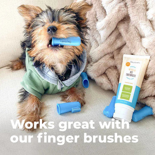 Oxyfresh Premium Pet Toothpaste - Best Way To Clean Pet Teeth & Remove Plaque with Finger Brush