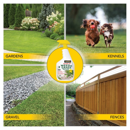 Harris Sea Salt 10X Weed & Grass Killer Spray