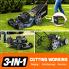 Senix 21 140cc Gas Self Propelled Lawn Mower, 3-in-1