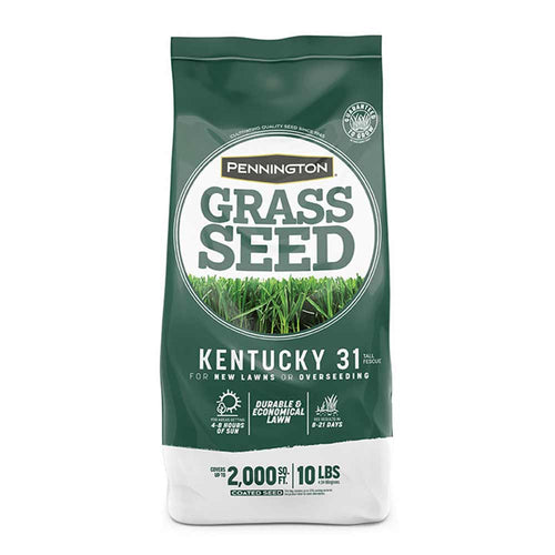 Pennington Kentucky 31 Tall Fescue Grass Seed