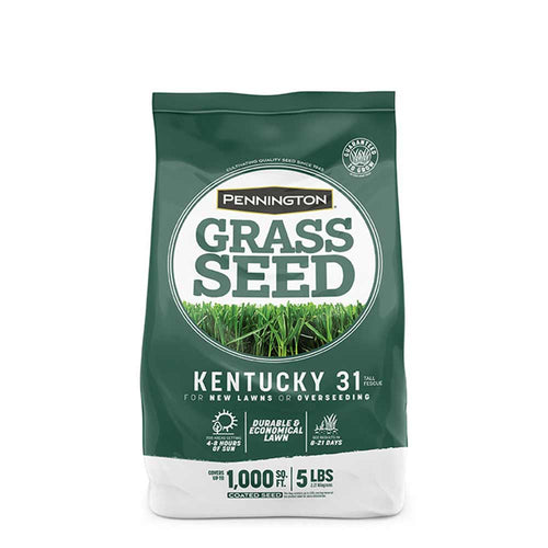 Pennington Kentucky 31 Tall Fescue Grass Seed