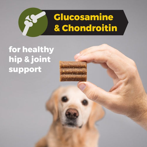 Sportsman's Pride Field Master Grain Free  Hip & Joint Jerky Bites