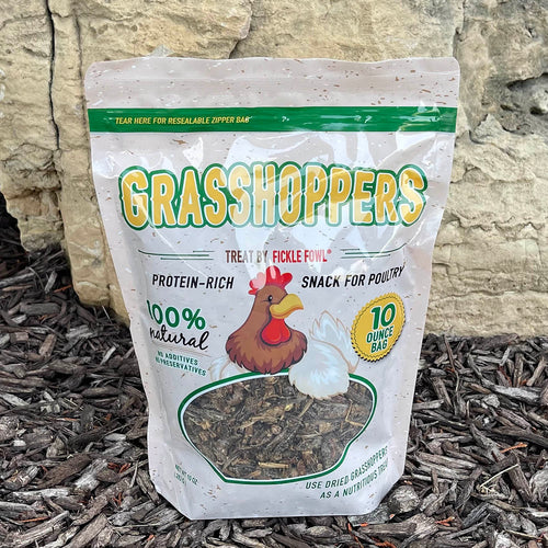 Buffalo Dried Grasshoppers Treat