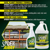 Star Brite Spider Away