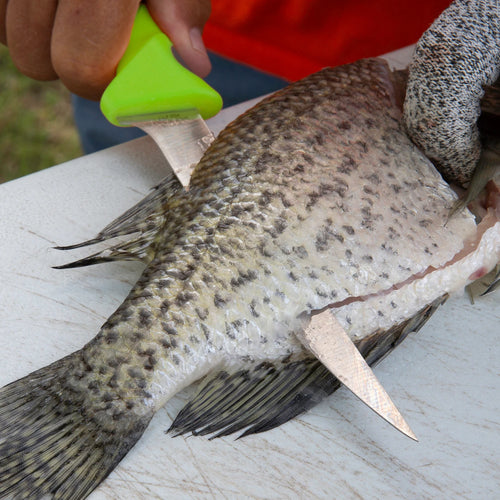 Smith's Mr. Crappie Fishing Combo Kit Green