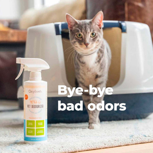 Oxyfresh Extra Strength Pet Deodorizer - Odor Eliminator Works On-Contact