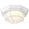 Satco 62-1399 LED Spider Cage