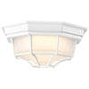 Satco 62-1399 LED Spider Cage