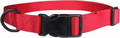 Leather Brothers 3/8in Kwik Klip Adjustable Nylon Collar 7-10in Red (Small, Red)